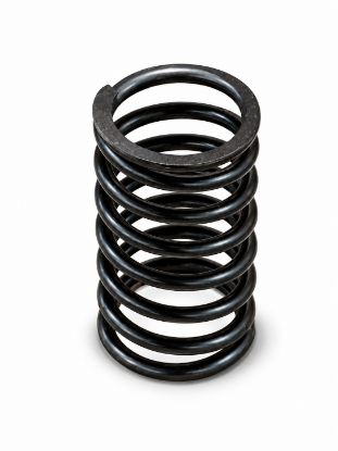 Picture of HEAVY SPRING FOR FIS BOV